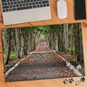 656969 Sonbahar Yapraklı Ağaçlı Yol 240 Parça Puzzle Yapboz