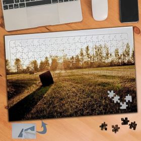 676 Gün Işığı Çimenler Doğa 240 Parça Puzzle Yapboz Tablo