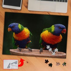 6CD8 İkiz Renkli Kuşlar Hayvan 240 Parça Puzzle Yapboz Tablo