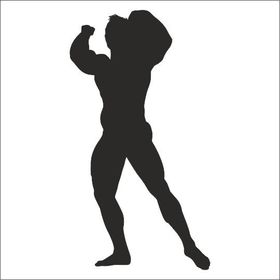 70 cm Body Gym Folyo Sticker