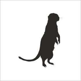 70 cm Gelincik Folyo Sticker