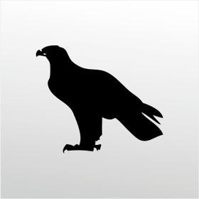70 cm Kartal Folyo Sticker