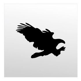 70 cm Kartal Folyo Sticker