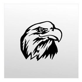70 cm Kartal Folyo Sticker