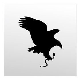 70 cm Kartal Folyo Sticker