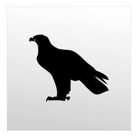 70 cm Kartal Folyo Sticker