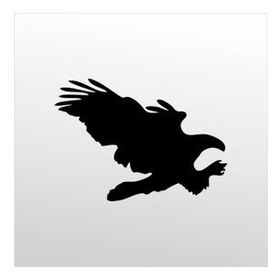 70 cm Kartal Folyo Sticker