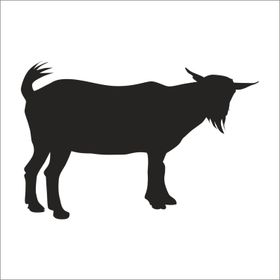 70 cm Keçi Folyo Sticker