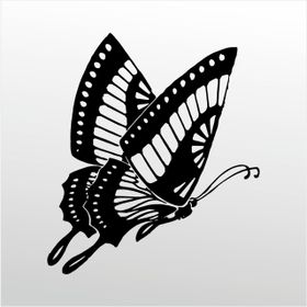 70 cm Kelebek Folyo Sticker