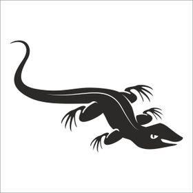 70 cm Kertenkele Folyo Sticker