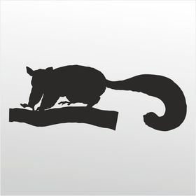 70 cm Kokarca Folyo Sticker