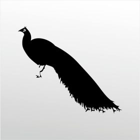 70 cm Tavuz Kuşu Folyo Sticker