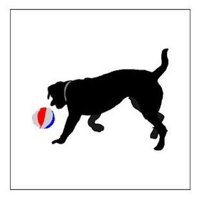 70 cm Top Oynayan Köpek Folyo Sticker