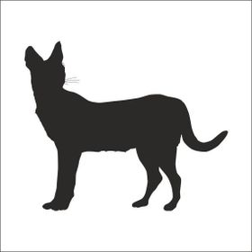 70 cm Vaşak Folyo Sticker