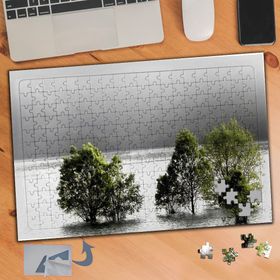 700 Suya Gömülen Ağaçlar 240 Parça Puzzle Yapboz Tablo