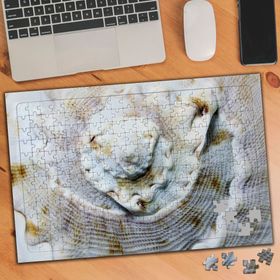 70064002 Deniz Kabuğu 240 Parça Puzzle Yapboz