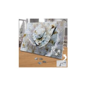 70064002 Deniz Kabuğu 240 Parça Puzzle Yapboz