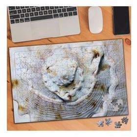 70064002 Deniz Kabuğu 240 Parça Puzzle Yapboz
