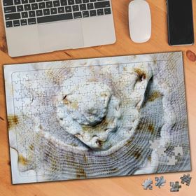 70064002 Deniz Kabuğu 240 Parça Puzzle Yapboz