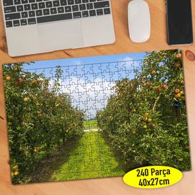 70209077 Meyve Bahçesi Portakal Ağacı 240 Parça Puzzle Yapboz