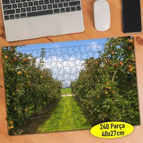 70209077 Meyve Bahçesi Portakal Ağacı 240 Parça Puzzle Yapboz