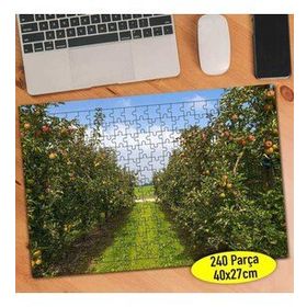 70209077 Meyve Bahçesi Portakal Ağacı 240 Parça Puzzle Yapboz