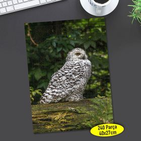 70712533 Ağaç Üstünde Sevimli Baykuş 240 Parça Puzzle Yapboz