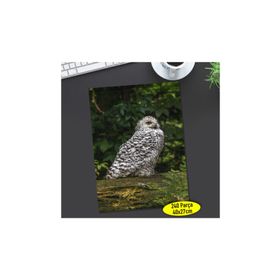 70712533 Ağaç Üstünde Sevimli Baykuş 240 Parça Puzzle Yapboz