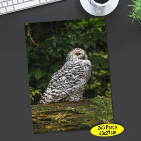 70712533 Ağaç Üstünde Sevimli Baykuş 240 Parça Puzzle Yapboz