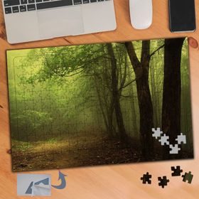 744 Ormandaki Ağaçlar Topraklar 240 Parça Puzzle Yapboz Tablo