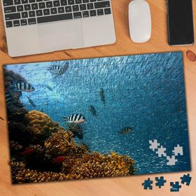 74468 Mavi Denizde Balıklar 240 Parça Puzzle Yapboz