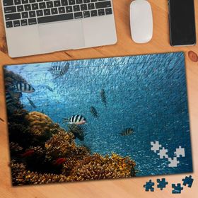 74468 Mavi Denizde Balıklar 240 Parça Puzzle Yapboz