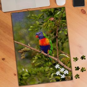 74479 Renkli Sevimli Kuş 240 Parça Puzzle Yapboz