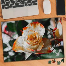 74483 Turuncu Beyaz Gül 240 Parça Puzzle Yapboz