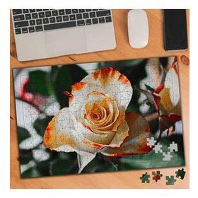 74483 Turuncu Beyaz Gül 240 Parça Puzzle Yapboz