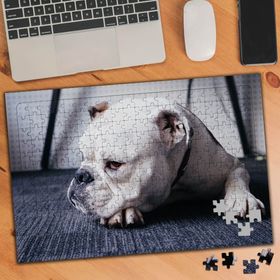 74505 Düşünceli Sevimli Köpek 240 Parça Puzzle Yapboz