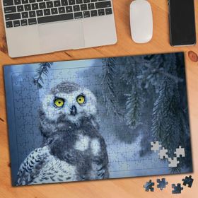 74508 Kış Mevsiminde Baykuş 240 Parça Puzzle Yapboz
