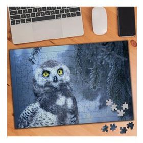 74508 Kış Mevsiminde Baykuş 240 Parça Puzzle Yapboz