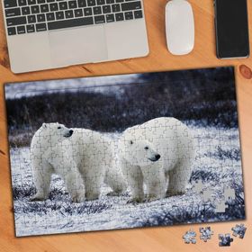 74509 Kutup Ayısı 240 Parça Puzzle Yapboz