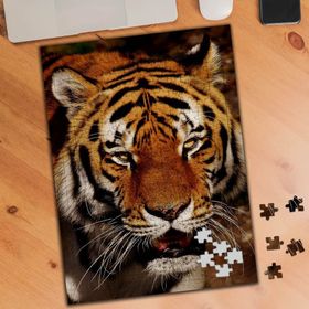 74510 Kükreyen Kaplan 240 Parça Puzzle Yapboz