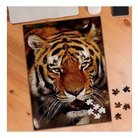 74510 Kükreyen Kaplan 240 Parça Puzzle Yapboz