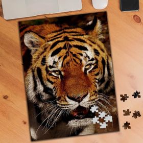 74510 Kükreyen Kaplan 240 Parça Puzzle Yapboz