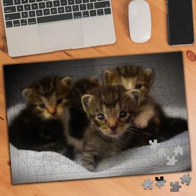 74515 Sevimli Kedi Yavruları 240 Parça Puzzle Yapboz