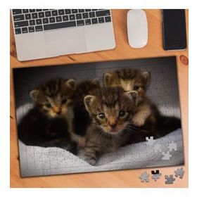 74515 Sevimli Kedi Yavruları 240 Parça Puzzle Yapboz