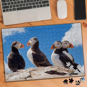 74529 Puffin Yabani Kuşlar 240 Parça Puzzle Yapboz