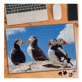 74529 Puffin Yabani Kuşlar 240 Parça Puzzle Yapboz