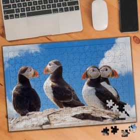 74529 Puffin Yabani Kuşlar 240 Parça Puzzle Yapboz