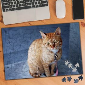 74530 Sarı Tüylü Sevimli Kedi 240 Parça Puzzle Yapboz