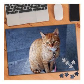 74530 Sarı Tüylü Sevimli Kedi 240 Parça Puzzle Yapboz