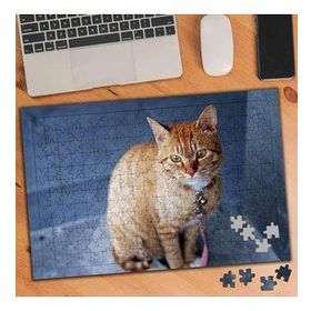 74530 Sarı Tüylü Sevimli Kedi 240 Parça Puzzle Yapboz